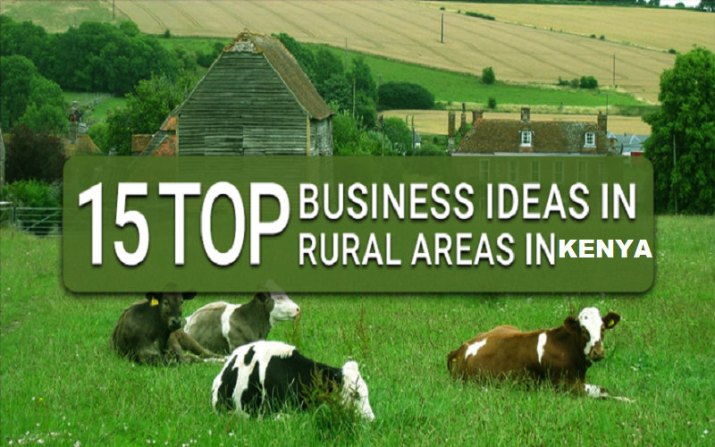 profitable businesses in rural areas