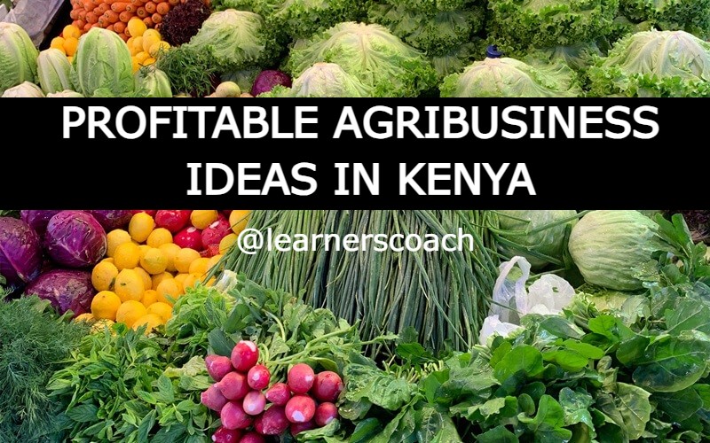 Agribusiness ideas in Kenya